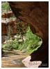 The Subway, Left Fork, Zion